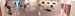 panorama-2